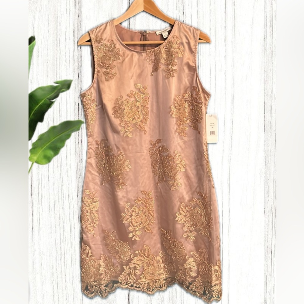 Boston Proper Rose Gold Dress